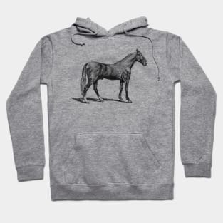 Horse Black and White Illustration Hoodie